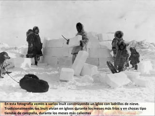 En esta fotografía vemos a varios Inuit construyendo un igloo con ladrillos de nieve. Tradicionalmente, los Inuit vivían en igloos durante los meses más fríos y en chozas tipo tiendas de campaña, durante los meses más calientes 