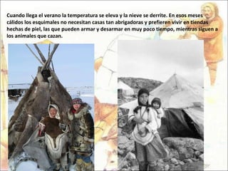 Cuando llega el verano la temperatura se eleva y la nieve se derrite. En esos meses cálidos los esquimales no necesitan casas tan abrigadoras y prefieren vivir en tiendas hechas de piel, las que pueden armar y desarmar en muy poco tiempo, mientras siguen a los animales que cazan.  