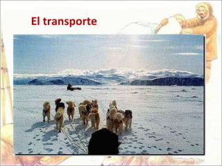 El transporte 