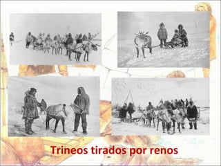 Trineos tirados por renos 