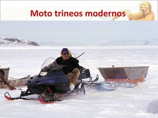 Moto trineos modernos 