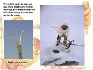 Viven de la caza y de la pesca, que ahora practican con armas de fuego, pero tradicionalmente utilizaban arcos y arpones con puntas de hueso.  Arpón para pescar 