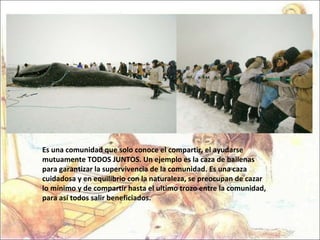 Es una comunidad que solo conoce el compartir, el ayudarse mutuamente TODOS JUNTOS. Un ejemplo es la caza de ballenas para garantizar la supervivencia de la comunidad. Es una caza cuidadosa y en equilibrio con la naturaleza, se preocupan de cazar lo mínimo y de compartir hasta el ultimo trozo entre la comunidad, para así todos salir beneficiados.  