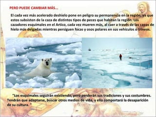 El cada vez más acelerado deshielo pone en peligro su permanencia en la región, ya que estos subsisten de la caza de distintos tipos de peces que habitan la región. Los cazadores esquimales en el Artico, cada vez mueren más, al caer a través de las capas de hielo más delgadas mientras persiguen focas y osos polares en sus vehículos o trineos. PERO PUEDE CAMBIAR MÁS...        "Los esquimales seguirán existiendo, pero perderán sus tradiciones y sus costumbres. Tendrán que adaptarse, buscar otros medios de vida, y ello comportará la desaparición de su cultura. "  
