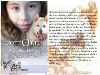 Brillante Amanecer es una muchacha esquimal de unos diecisiete años que, sustituyendo a su padre que ha sufrido un grave accidente, toma parte en la carrera anual de trineos tirados por perros desde Anchorage, en el golfo de Alaska, hasta Nome, en el mar de Bering. Contará con la ayuda de Estrella Negra, un perro medio salvaje al que ella ha cuidado y entrenado. La prueba es muy dura pues hay que enfrentarse con lobos, nieblas espesas y vientos helados además de soportar el gran aislamiento. Todas estas intensas vivencias harán que Brillante Amanecer reflexione sobre sí misma y sobre su futuro, si es que aún le queda. Recuérdese que Félix Rodríguez de la Fuente, gran naturalista y periodista español, sufrió el grave accidente que le costó la vida mientras filmaba esta carrera. 