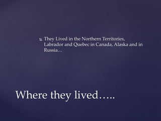  They Lived in the Northern Territories,
Labrador and Quebec in Canada, Alaska and in
Russia…
Where they lived…..
 