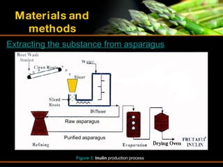 Inulin | PPT