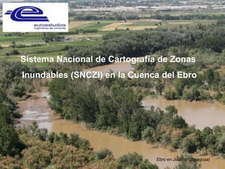 Sistema Nacional de Cartografía de Zonas
Inundables (SNCZI) en la Cuenca del Ebro
Ebro en Juslibol (Zaragoza)
 