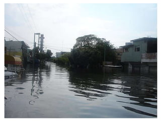 inundacion 2007 en tabasco