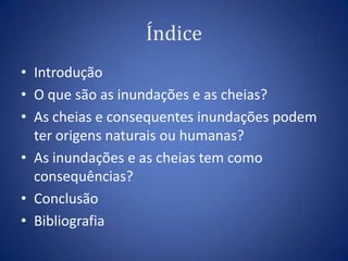 Índice
• Introdução
• O que são as inundações e as cheias?
• As cheias e consequentes inundações podem
  ter origens naturais ou humanas?
• As inundações e as cheias tem como
  consequências?
• Conclusão
• Bibliografia
 