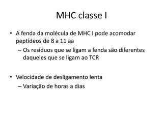 MHC classe I
• A fenda da molécula de MHC I pode acomodar
peptídeos de 8 a 11 aa
– Os resíduos que se ligam a fenda são diferentes
daqueles que se ligam ao TCR
• Velocidade de desligamento lenta
– Variação de horas a dias
 
