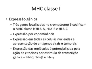 MHC classe I
• Expressão gênica
– Três genes localizados no cromossomo 6 codificam
o MHC classe I: HLA-A, HLA-B e HLA-C
– Expressão por codominância
– Expressão em todas as células nucleadas e
apresentação de antígenos virais e tumorais
– Expressão das moléculas é potencializada pela
ação de citocinas por estimulo da transcrição
gênica – IFN-α INF-β e IFN-γ
 