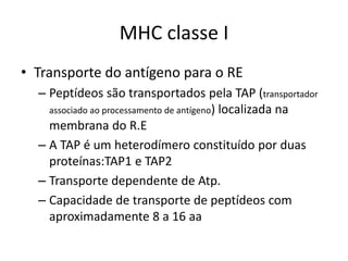 MHC classe I
• Transporte do antígeno para o RE
– Peptídeos são transportados pela TAP (transportador
associado ao processamento de antígeno) localizada na
membrana do R.E
– A TAP é um heterodímero constituído por duas
proteínas:TAP1 e TAP2
– Transporte dependente de Atp.
– Capacidade de transporte de peptídeos com
aproximadamente 8 a 16 aa
 