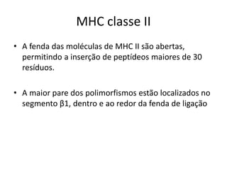 MHC classe II
• A fenda das moléculas de MHC II são abertas,
permitindo a inserção de peptídeos maiores de 30
resíduos.
• A maior pare dos polimorfismos estão localizados no
segmento β1, dentro e ao redor da fenda de ligação
 