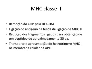 MHC classe II
• Remoção do CLIP pela HLA-DM
• Ligação do antígeno na fenda de ligação de MHC II
• Redução dos fragmentos ligados para obtenção de
um peptídeo de aproximadamente 30 aa.
• Transporte e apresentação do hetrotrímero MHC II
na membrana celular da APC
 