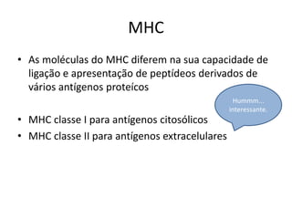 MHC
• As moléculas do MHC diferem na sua capacidade de
ligação e apresentação de peptídeos derivados de
vários antígenos proteícos
• MHC classe I para antígenos citosólicos
• MHC classe II para antígenos extracelulares
Hummm...
interessante.
 