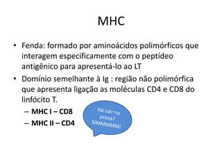 MHC
• Fenda: formado por aminoácidos polimórficos que
interagem especificamente com o peptídeo
antigênico para apresentá-lo ao LT
• Domínio semelhante à Ig : região não polimórfica
que apresenta ligação as moléculas CD4 e CD8 do
linfócito T.
– MHC I – CD8
– MHC II – CD4
 