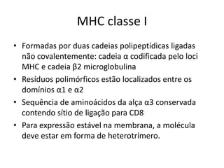 MHC classe I
• Formadas por duas cadeias polipeptídicas ligadas
não covalentemente: cadeia α codificada pelo loci
MHC e cadeia β2 microglobulina
• Resíduos polimórficos estão localizados entre os
domínios α1 e α2
• Sequência de aminoácidos da alça α3 conservada
contendo sítio de ligação para CD8
• Para expressão estável na membrana, a molécula
deve estar em forma de heterotrímero.
 