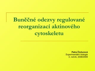 Buněčné odezvy regulované reorganizací aktinového cytoskeletu Petra Činčurová Experimentální biologie 3. ročník; 2008/2009 