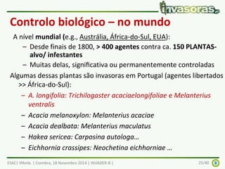 Controlo biológico – no mundo 
A nível mundial (e.g., Austrália, África-do-Sul, EUA): 
– Desde finais de 1800, > 400 agentes contra ca. 150 PLANTAS-alvo/ 
infestantes 
– Muitas delas, significativa ou permanentemente controladas 
Algumas dessas plantas são invasoras em Portugal (agentes libertados 
>> África-do-Sul): 
– A. longifolia: Trichilogaster acaciaelongifoliae e Melanterius 
ventralis 
– Acacia melanoxylon: Melanterius acaciae 
– Acacia dealbata: Melanterius maculatus 
– Hakea sericea: Carposina autologa… 
– Eichhornia crassipes: Neochetina eichhorniae … 
ESAC| IPAmb. | Coimbra, 18 Novembro 2014 | INVADER-B | 25/40 
 