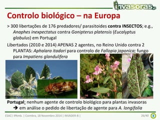 Controlo biológico – na Europa 
> 300 libertações de 176 predadores/ parasitoides contra INSECTOS; e.g., 
Anaphes inexpectatus contra Gonipterus platensis (Eucalyptus 
globulus) em Portugal 
Libertados (2010 e 2014) APENAS 2 agentes, no Reino Unido contra 2 
PLANTAS: Aphalara itadori para controlo de Fallopia japonica; fungo 
para Impatiens glandulifera 
http://news.bbc.co.uk/2/hi/8555378.stm 
Portugal: nenhum agente de controlo biológico para plantas invasoras 
 em análise o pedido de libertação de agente para A. longifolia 
ESAC| IPAmb. | Coimbra, 18 Novembro 2014 | INVADER-B | 26/40 
 