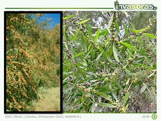 ESAC| IPAmb. | Coimbra, 18 Novembro 2014 | INVADER-B | 32/40 
 