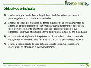 Objectivos principais: 
1) avaliar os impactes de Acacia longifolia a nível das redes-de-interação 
plantas-galhas e comunidades associadas; 
2) analisar as redes-de-interação de forma a avaliar os 1) efeitos indiretos do 
agente de controlo biológico,Trichilogaster acaciaelongifoliae, quer antes 
(como uma ferramenta preditiva) quer após (como avaliação) a sua 
libertação; 2) prever eficácia do agente controlo biológico; t0 pré introdução 
3) mapear a distribuição de A. longifolia, em áreas selecionadas, através de 
deteção remota criando uma ferramenta útil para a gestão desta espécie 
4) avaliar a possibilidade de usar deteção remota (espectroscopia) para 
monitorizar os efeitos de T. acaciaelongifoliae; 
ESAC| IPAmb. | Coimbra, 18 Novembro 2014 | INVADER-B | 36/40 
 