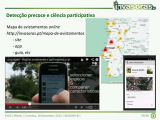 Detecção precoce e ciência participativa 
Mapa de avistamentos online 
http://invasoras.pt/mapa-de-avistamentos 
- site 
- app 
- guia, etc 
- workshops para dinamizar, etc 
ESAC| IPAmb. | Coimbra, 18 Novembro 2014 | INVADER-B | 39/40 
 