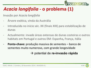 Acacia longifolia - o problema (1) 
Invasão por Acacia longifolia 
- Árvore exótica, vinda da Austrália 
- Introduzida no início séc. XX (finais XIX) para estabilização de 
dunas 
- Actualmente: invade áreas extensas de dunas costeiras e outros 
habitats em Portugal e outros EM: Espanha, França, Itália 
- Ponto-chave: produção massiva de sementes – banco de 
sementes muito numeroso, com grande longevidade 
 potential de re-invasão rápida 
ESAC| IPAmb. | Coimbra, 18 Novembro 2014 | INVADER-B | 4/40 
 
