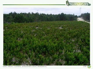 ESAC| IPAmb. | Coimbra, 18 Novembro 2014 | INVADER-B | 7/40 
 