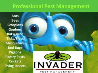 Professional Pest Management Ants Bees Scorpions Gophers Rats/Mice Ticks/Fleas Mosquitoes Bed Bugs Pigeons Pantry Pests Crickets Flying Insects 