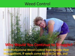 Weed ControlWhy Would You Continue to Struggle?With Professional Weed Control from Invader Pest Management, If weeds come back So Do We, and that’s our guarantee!