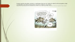 Invasive species are plants, animals, or pathogens that are non-native (or alien) to the ecosystem under
consideration and whose introduction causes or is likely to cause harm.
Image: https://repeatingislands.com/2014/04/16/results-of-the-invasive-alien-species-video-competition-held-by-the-regional-mtiasic-project/
 