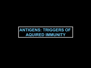 ANTIGENS: TRIGGERS OF  AQUIRED IMMUNITY 