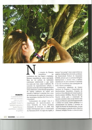 Invadimos a "praia" dos bichos