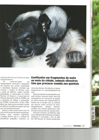 Invadimos a "praia" dos bichos