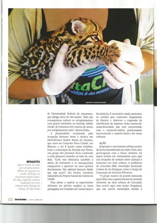 Invadimos a "praia" dos bichos