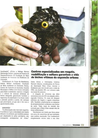 Invadimos a "praia" dos bichos