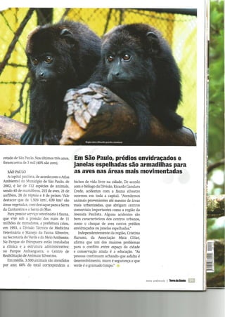 Invadimos a "praia" dos bichos