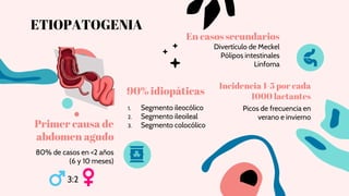 ETIOPATOGENIA
Picos de frecuencia en
verano e invierno
Incidencia 1-5 por cada
1000 lactantes
1. Segmento ileocólico
2. Segmento ileoileal
3. Segmento colocólico
90% idiopáticas
80% de casos en <2 años
(6 y 10 meses)
3:2
Primer causa de
abdomen agudo
En casos secundarios
Divertículo de Meckel
Pólipos intestinales
Linfoma
 