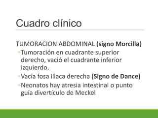 Cuadro clínico
TUMORACION ABDOMINAL (signo Morcilla)
 ◦Tumoración en cuadrante superior
  derecho, vació el cuadrante inferior
  izquierdo.
 ◦Vacía fosa iliaca derecha (Signo de Dance)
 ◦Neonatos hay atresia intestinal o punto
  guía divertículo de Meckel
 