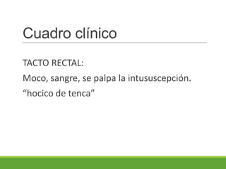 Cuadro clínico
TACTO RECTAL:
Moco, sangre, se palpa la intususcepción.
“hocico de tenca”
 