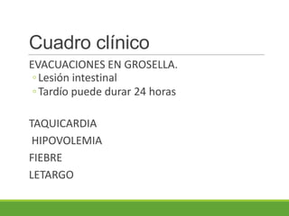 Cuadro clínico
EVACUACIONES EN GROSELLA.
 ◦ Lesión intestinal
 ◦ Tardío puede durar 24 horas

TAQUICARDIA
 HIPOVOLEMIA
FIEBRE
LETARGO
 