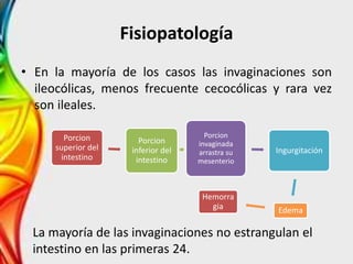 Fisiopatología
• En la mayoría de los casos las invaginaciones son
ileocólicas, menos frecuente cecocólicas y rara vez
son ileales.
Porcion
superior del
intestino
Porcion
inferior del
intestino
Porcion
invaginada
arrastra su
mesenterio
Ingurgitación
Edema
Hemorra
gia
La mayoría de las invaginaciones no estrangulan el
intestino en las primeras 24.
 