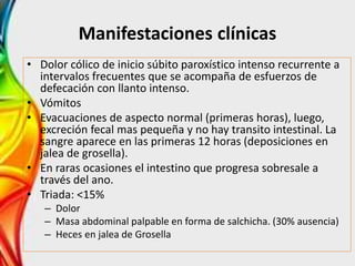 Manifestaciones clínicas
• Dolor cólico de inicio súbito paroxístico intenso recurrente a
intervalos frecuentes que se acompaña de esfuerzos de
defecación con llanto intenso.
• Vómitos
• Evacuaciones de aspecto normal (primeras horas), luego,
excreción fecal mas pequeña y no hay transito intestinal. La
sangre aparece en las primeras 12 horas (deposiciones en
jalea de grosella).
• En raras ocasiones el intestino que progresa sobresale a
través del ano.
• Triada: <15%
– Dolor
– Masa abdominal palpable en forma de salchicha. (30% ausencia)
– Heces en jalea de Grosella
 