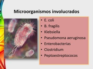Microorganismos involucrados
• E. coli
• B. fragilis
• Klebsiella
• Pseudomona aeruginosa
• Enterobacterias
• Clostridium
• Peptoestreptococos
 