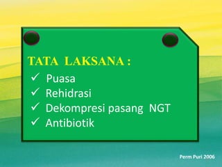 Perm Puri 2006
TATA LAKSANA :
 Puasa
 Rehidrasi
 Dekompresi pasang NGT
 Antibiotik
10
 