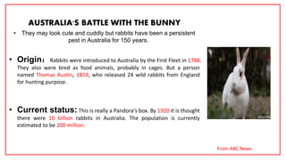 AUSTRALIA'S BATTLE WITH THE BUNNY
• They may look cute and cuddly but rabbits have been a persistent
pest in Australia for 150 years.
• Origin：Rabbits were introduced to Australia by the First Fleet in 1788.
They also were bred as food animals, probably in cages. But a person
named Thomas Austin, 1859, who released 24 wild rabbits from England
for hunting purpose.
• Current status: This is really a Pandora's box. By 1920 it is thought
there were 10 billion rabbits in Australia. The population is currently
estimated to be 200 million.
From ABC News
 