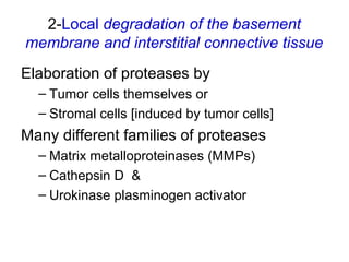 2-Local degradation of the basement
membrane and interstitial connective tissue
Elaboration of proteases by
– Tumor cells themselves or
– Stromal cells [induced by tumor cells]
Many different families of proteases
– Matrix metalloproteinases (MMPs)
– Cathepsin D &
– Urokinase plasminogen activator
 
