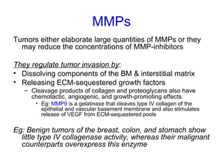 MMPs
Tumors either elaborate large quantities of MMPs or they
may reduce the concentrations of MMP-inhibitors
They regulate tumor invasion by:
• Dissolving components of the BM & interstitial matrix
• Releasing ECM-sequestered growth factors
– Cleavage products of collagen and proteoglycans also have
chemotactic, angiogenic, and growth-promoting effects
• Eg: MMP9 is a gelatinase that cleaves type IV collagen of the
epithelial and vascular basement membrane and also stimulates
release of VEGF from ECM-sequestered pools
Eg: Benign tumors of the breast, colon, and stomach show
little type IV collagenase activity, whereas their malignant
counterparts overexpress this enzyme
 